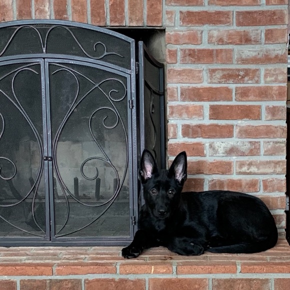 Meet your Posher, Rachel - Picture 9 of 15